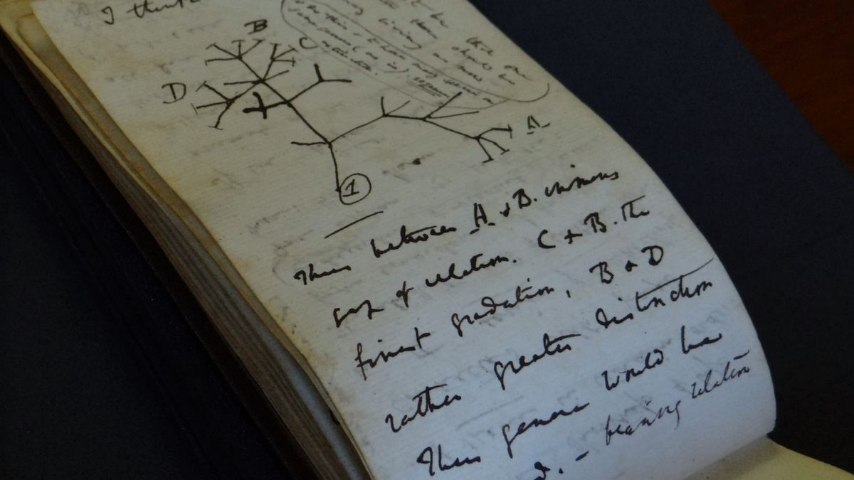 Po 22 letech kdosi vrátil záhadně zmizelé Darwinovy rukopisné deníky
